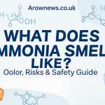 What Does Ammonia Smell Like? A Simple Guide to Identify It