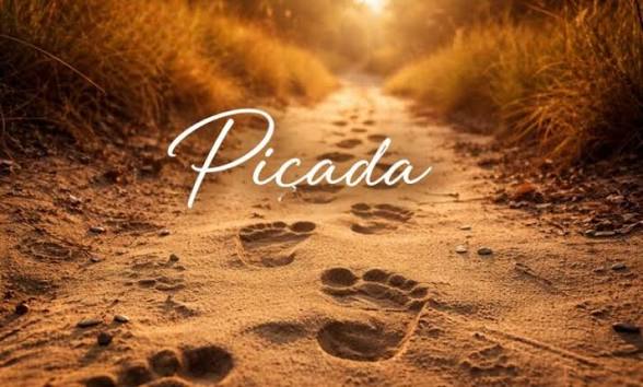 Piçada: Meaning, Uses, and Cultural Significance Explained
