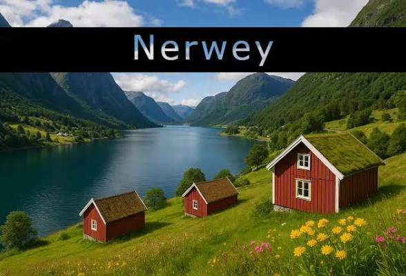 Nerwey: Complete Guide, Meaning, Facts,
